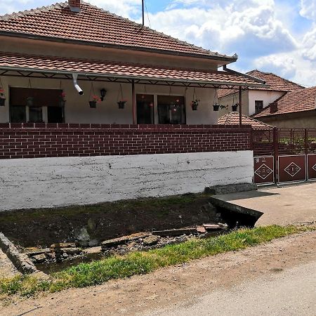 Kuca Mijalkovic Apartament Pirot Zewnętrze zdjęcie