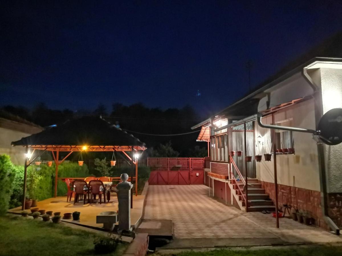 Kuca Mijalkovic Apartament Pirot Zewnętrze zdjęcie