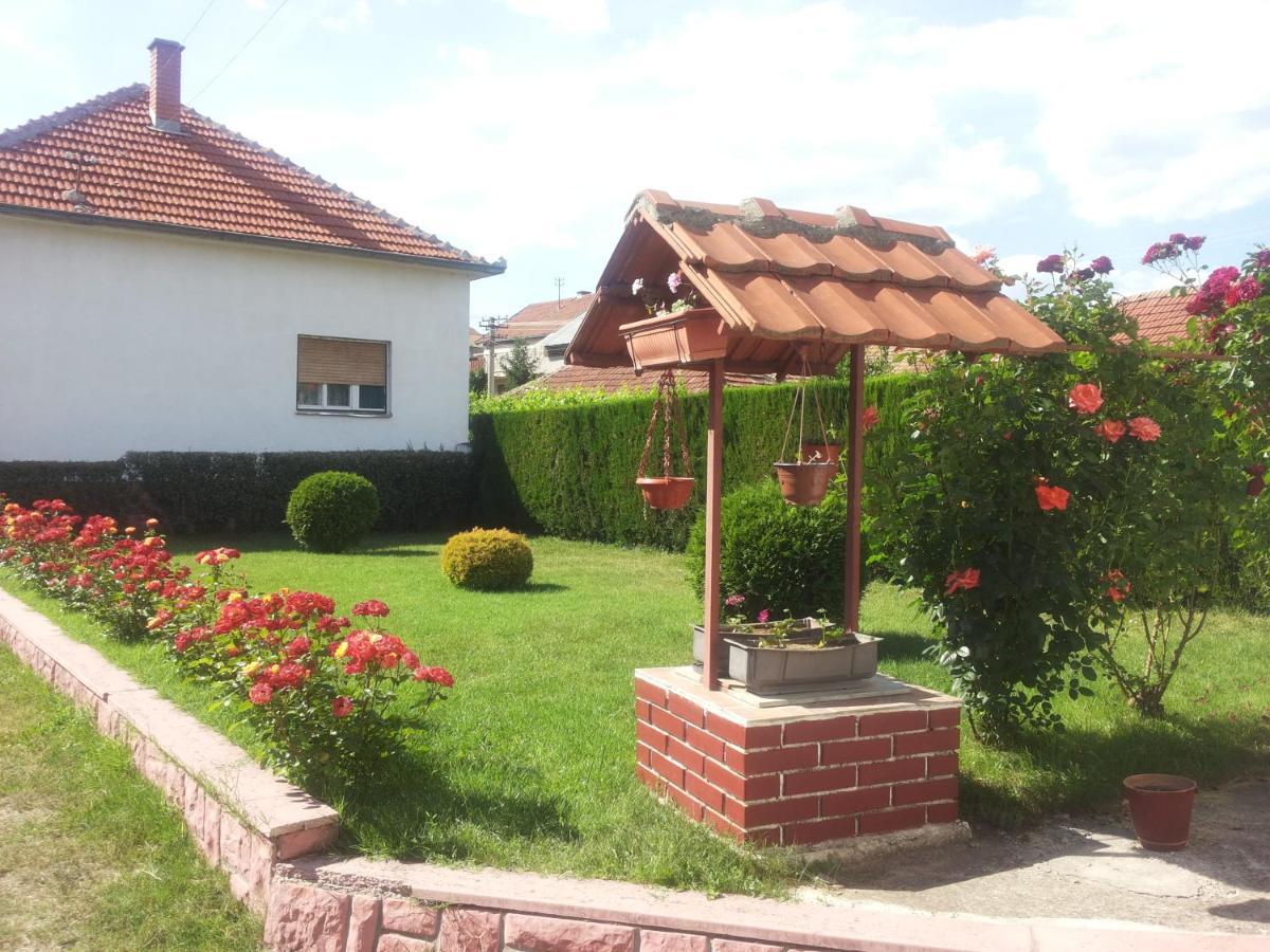 Kuca Mijalkovic Apartament Pirot Zewnętrze zdjęcie
