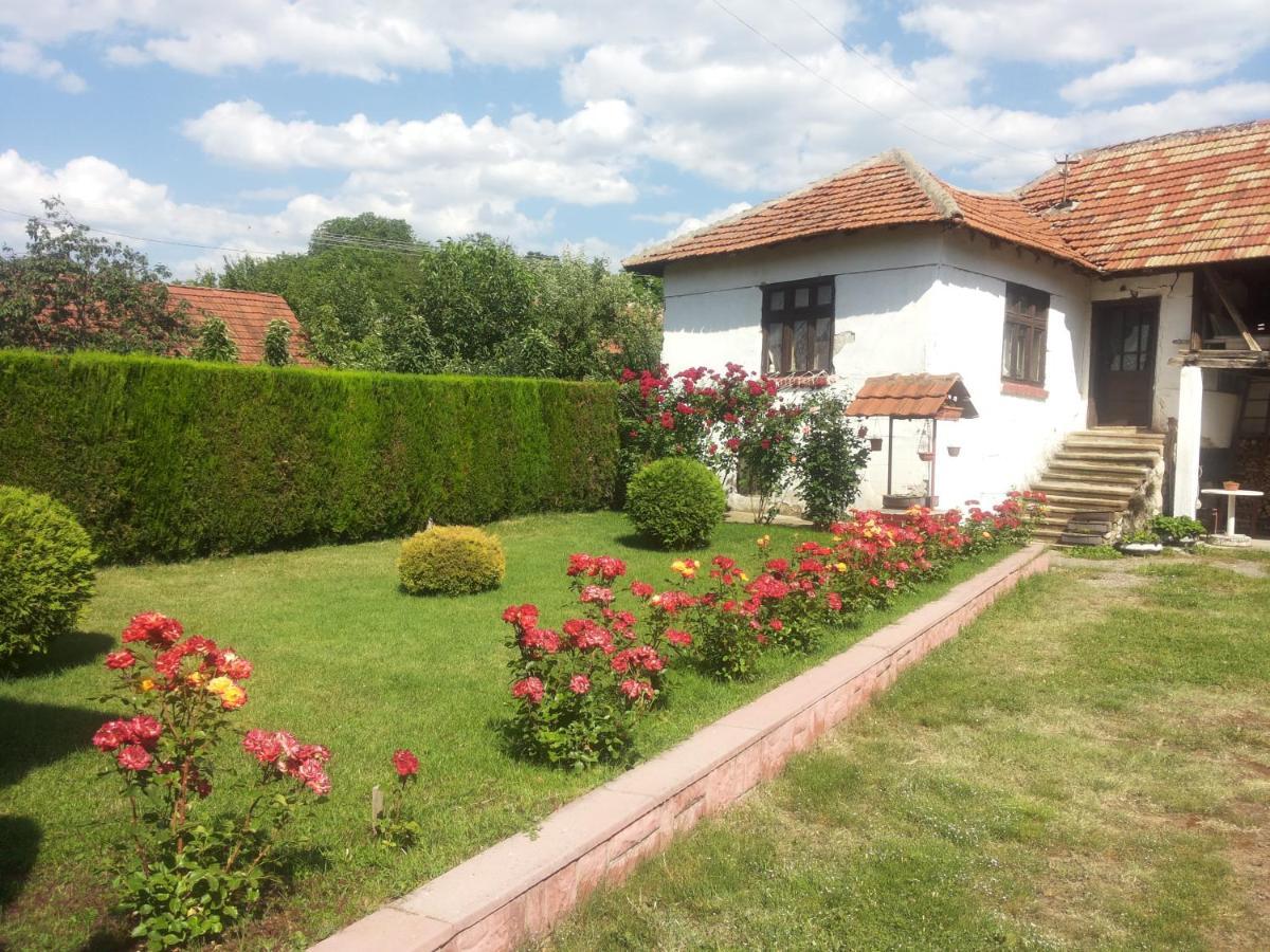 Kuca Mijalkovic Apartament Pirot Zewnętrze zdjęcie